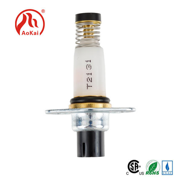 Fọọmu wo ni yoo jẹ aṣa idagbasoke ọjọ iwaju ti awọn epo solenoid?
