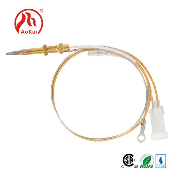 Gas ibudana otutu sensọ Thermocouple