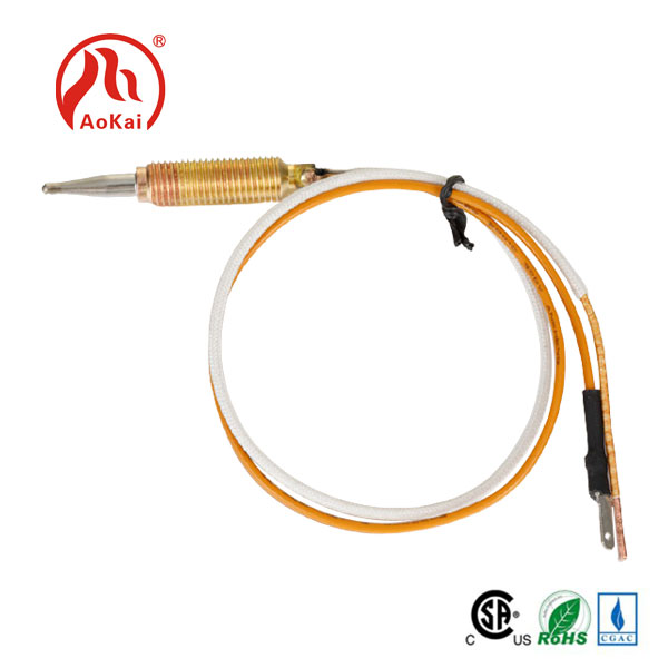 Ailewu Ibi idana Thermocouple